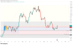 Evaluating the Bitcoin Rally: Are We Witnessing a Macro Reversal?
