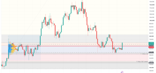 Evaluating the Bitcoin Rally: Are We Witnessing a Macro Reversal?